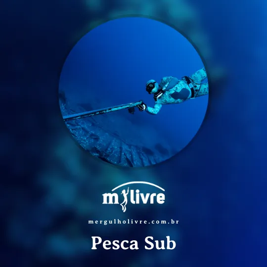 Saiba mais sobre pesca submarina