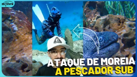ATAQUE DE MOREIA A PESCADOR SUB X MOREIA MANSA
