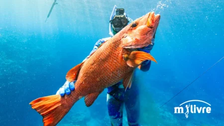Foto curso de Pesca sub caça submarina - 10