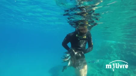 Foto curso de Pesca sub caça submarina - 16