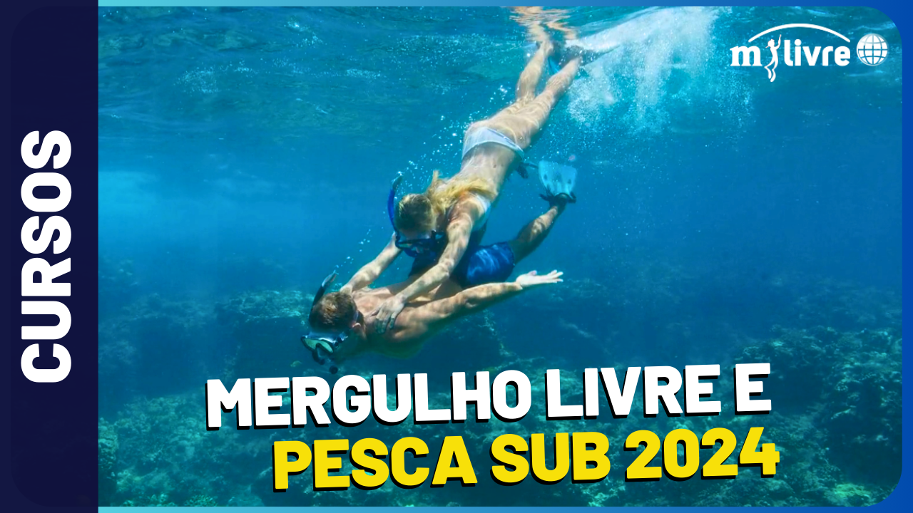 Vídeo Motivacional! Curso Mergulho Livre Pesca Sub 2024 (Apneia ...