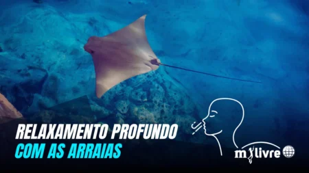 CAPA - 01 HORA DE MÚSICA DE RELAXAMENTO PROFUNDO COM AS ARRAIS - RESPIRAÇÃO, APNEIA, MERGULHO, TREINAMENTO