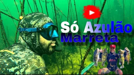 Capa - Captura de Azulões na água cristalina Pesca sub - Coronado Sub