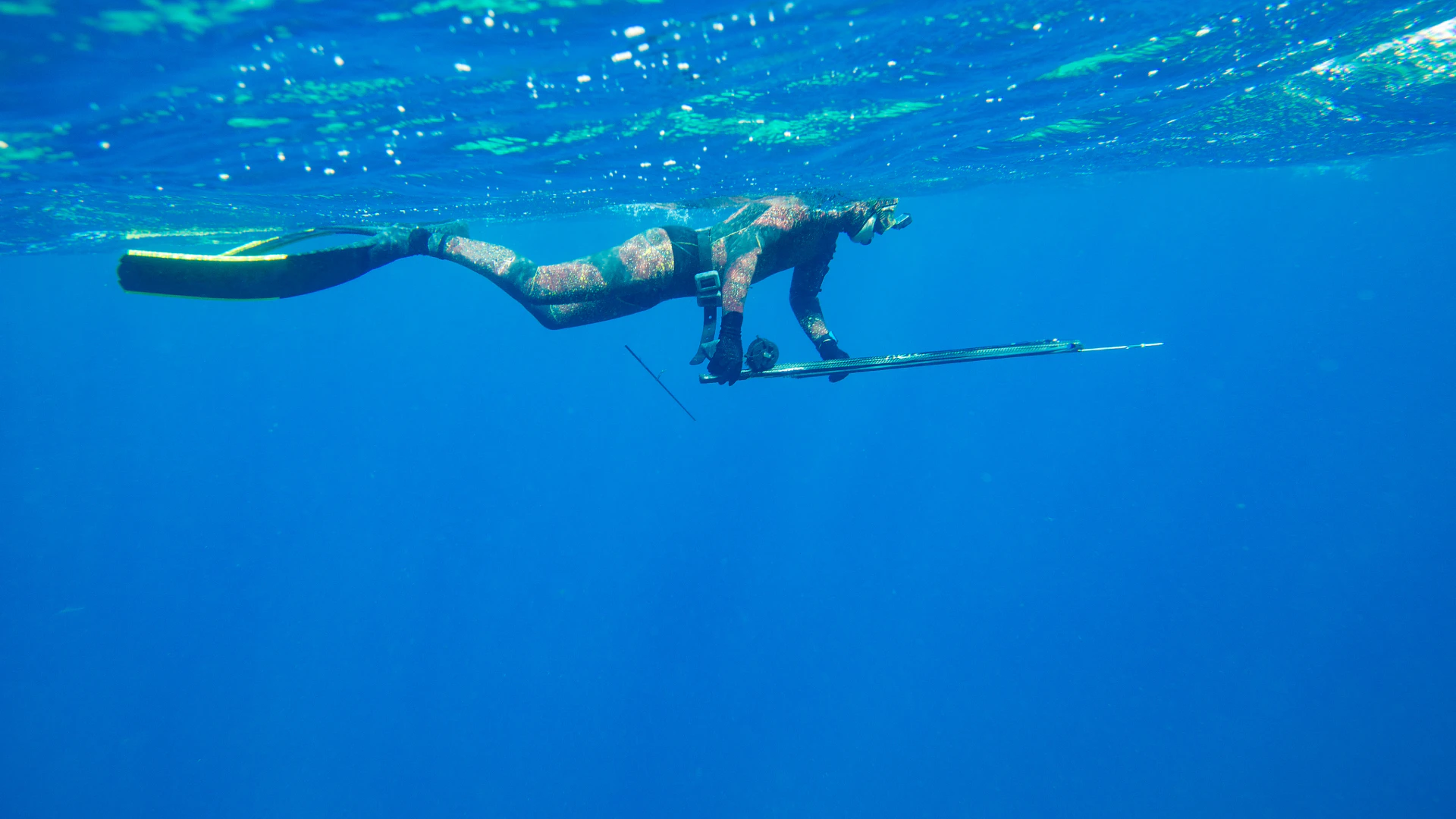 Capa - pesca sub, spearfishing